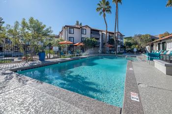 Swimming Pool and Lounge